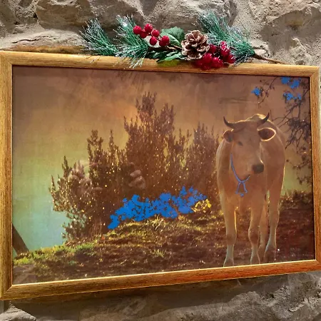 - The House With Well And The Frescos Palace * 哥尔顿